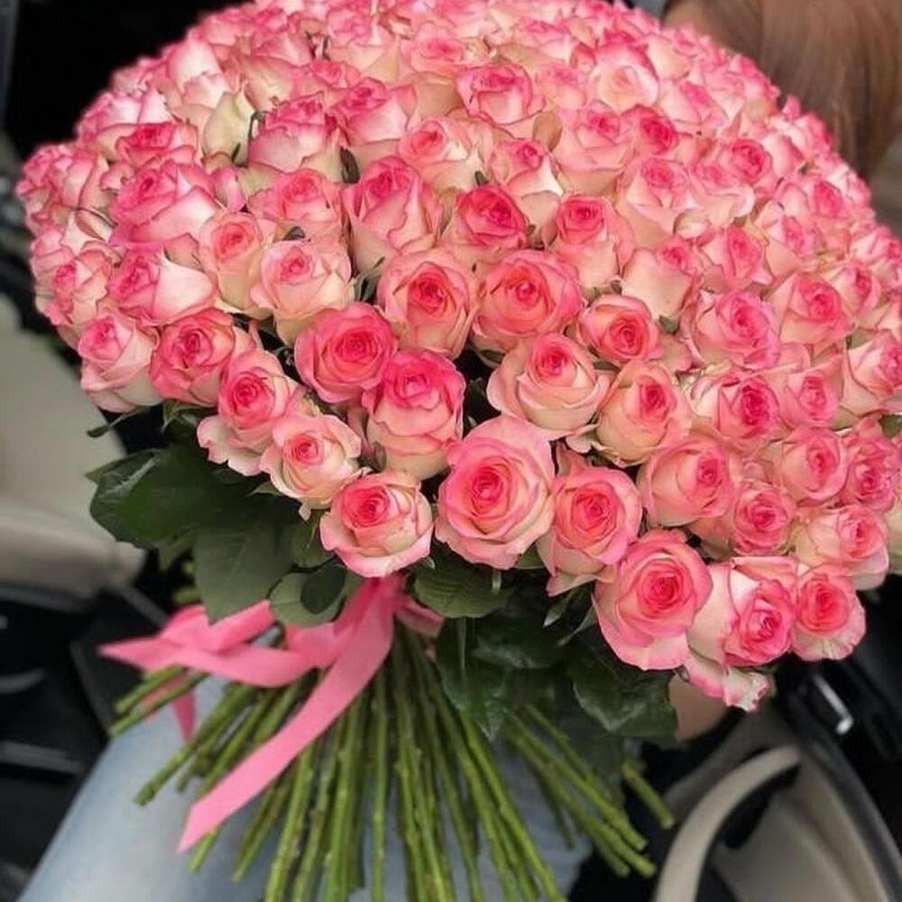 101 джумилия 🌹