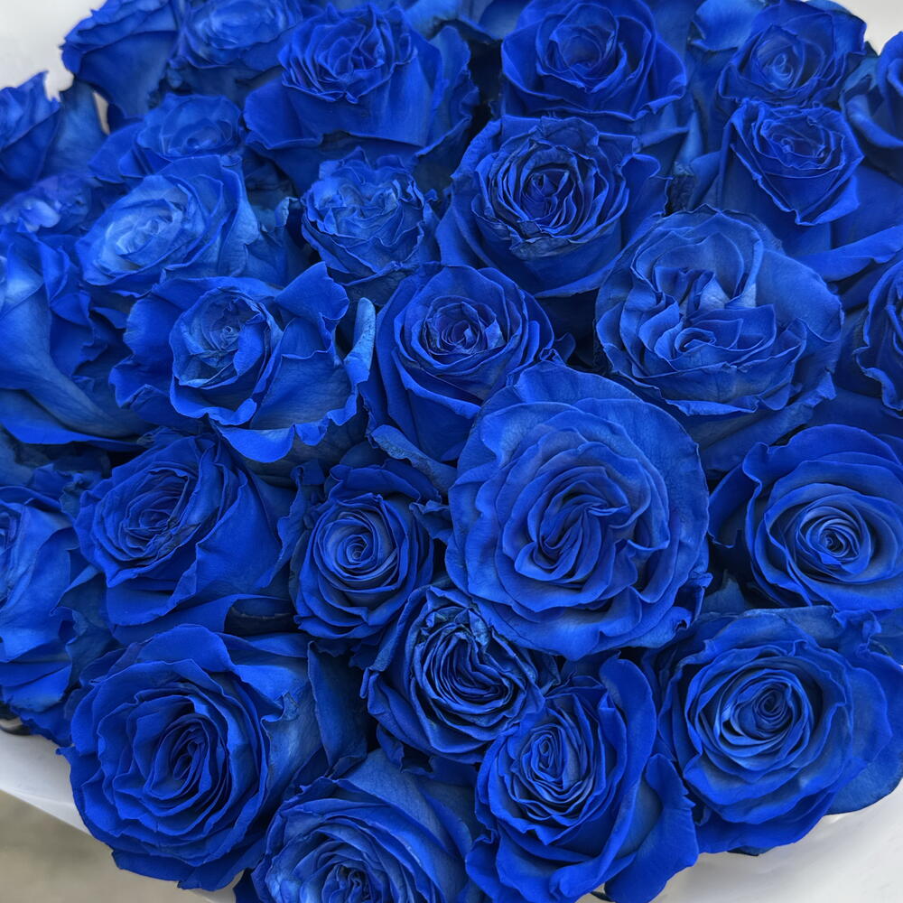Эквадор синий 💙