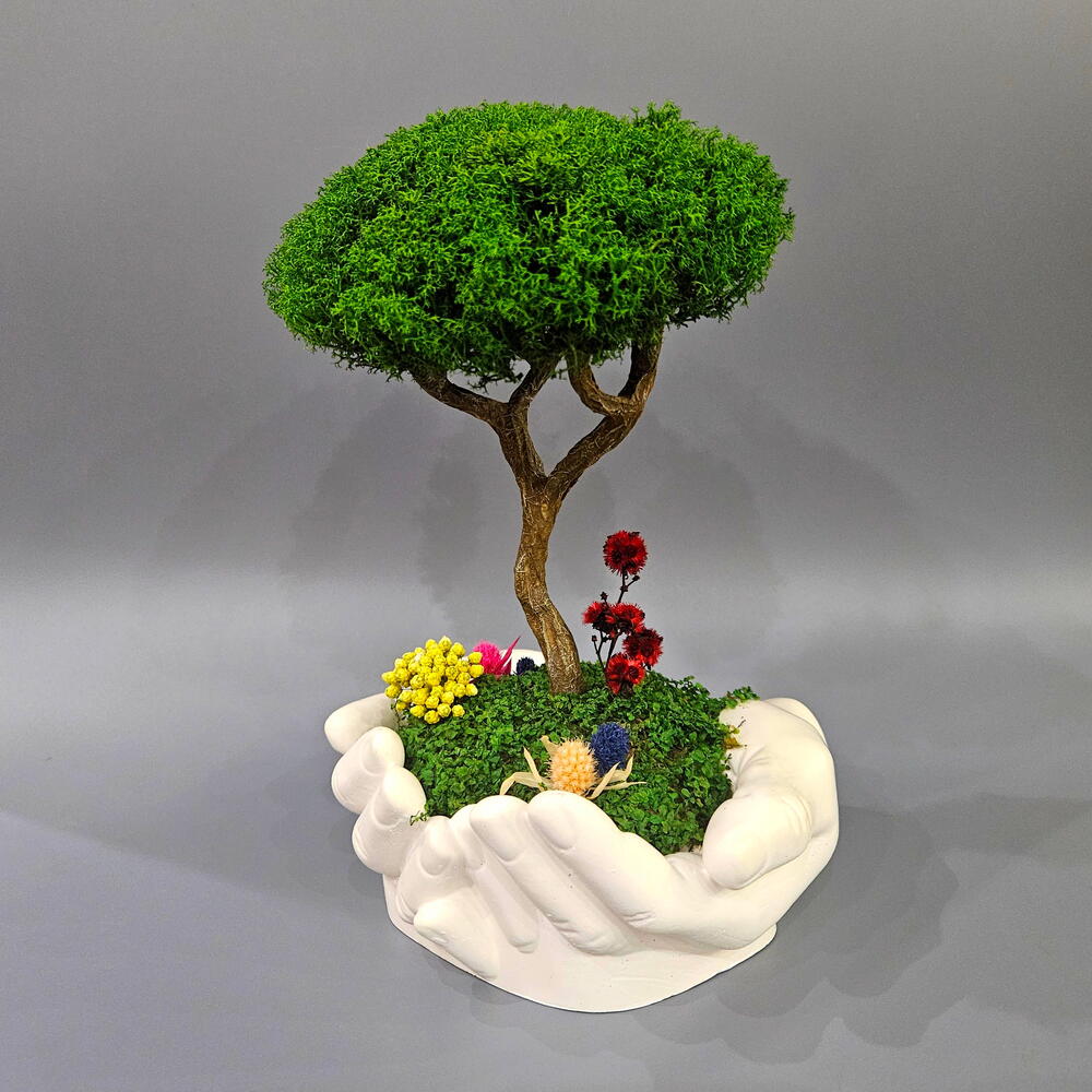 Árbol en la palma