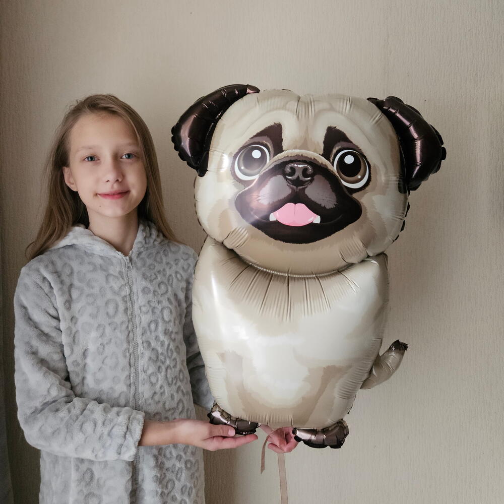 Шар собака, щенок мопс с гелием-1шар