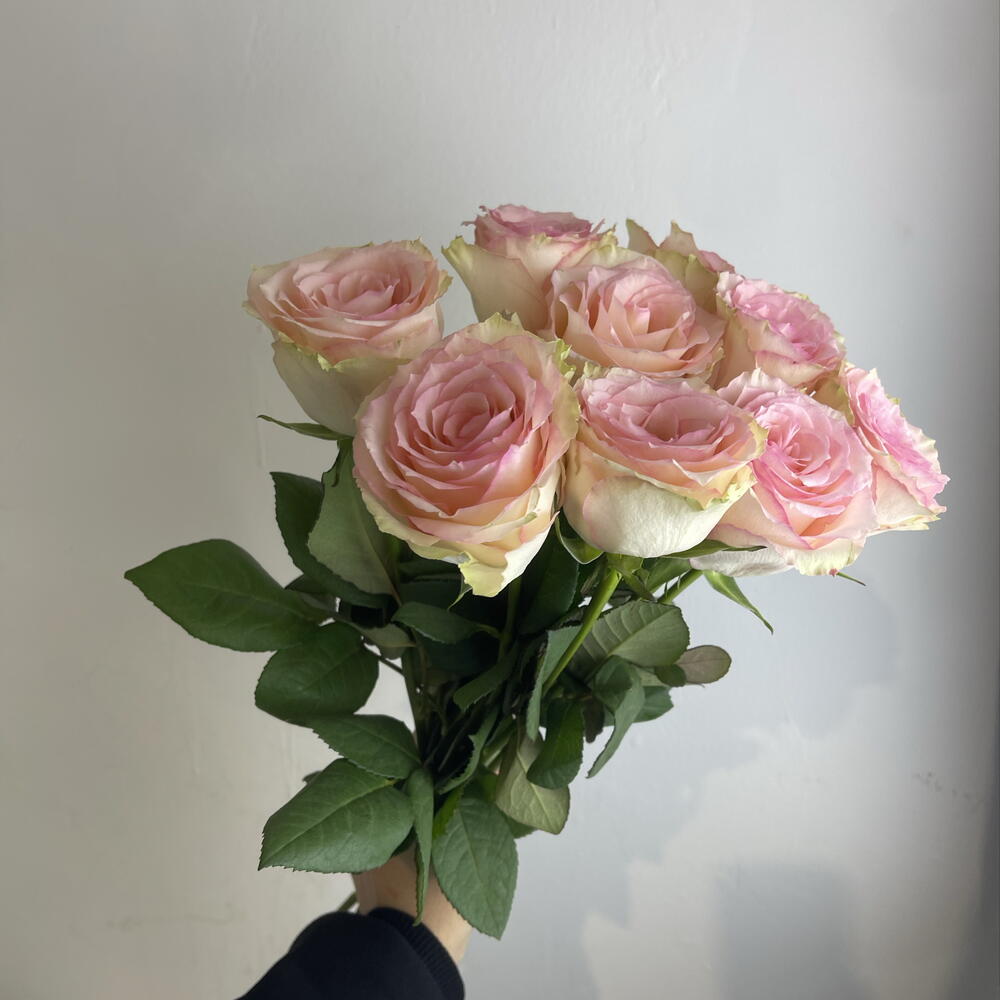 Розы нежные 🌸9