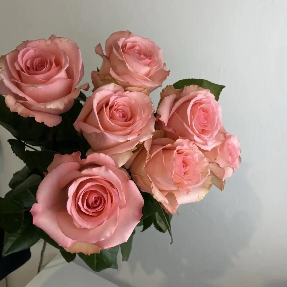 Розы нежные 🌸7