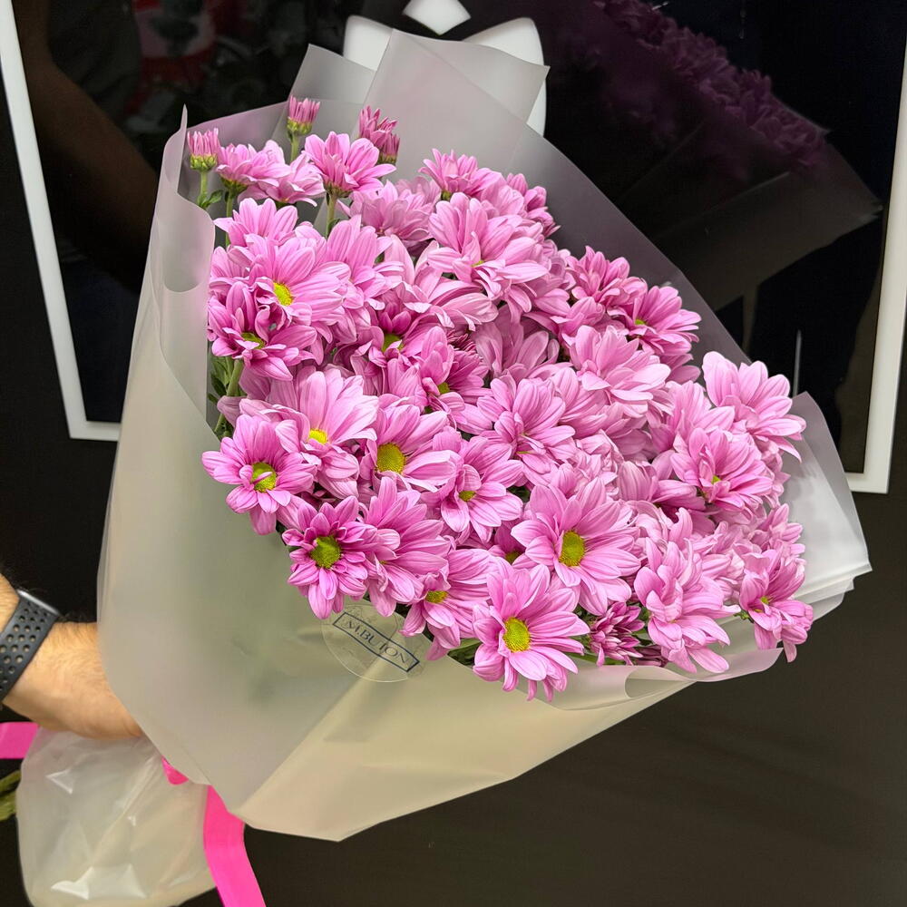 Lilas Eternel 💜