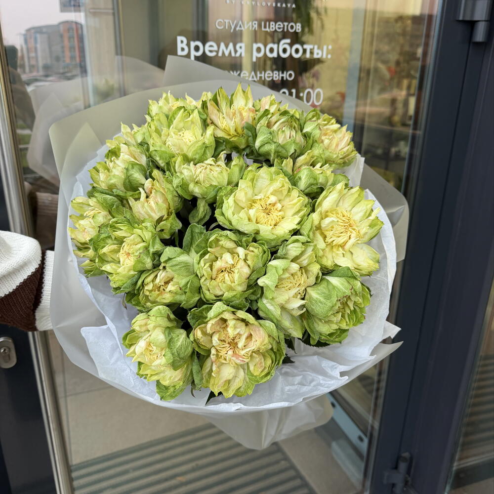 Букет из 19 роз Вегги