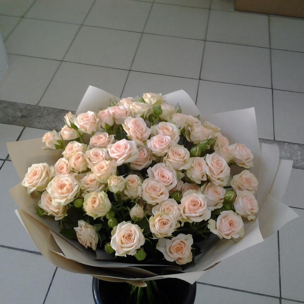 Кустовые розы