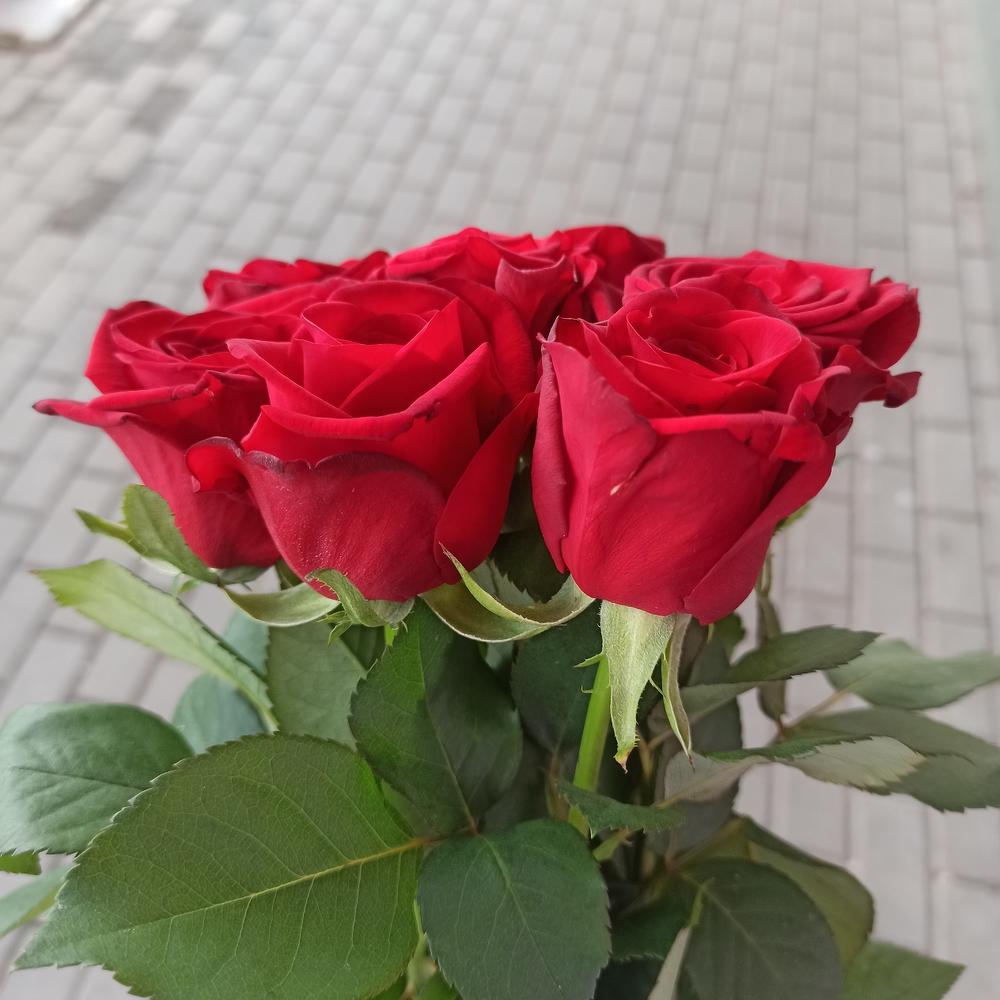 7роз