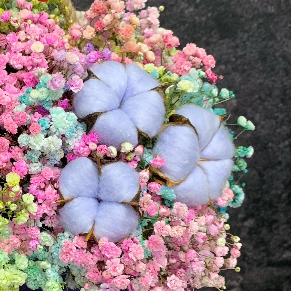 Wow box 🌈