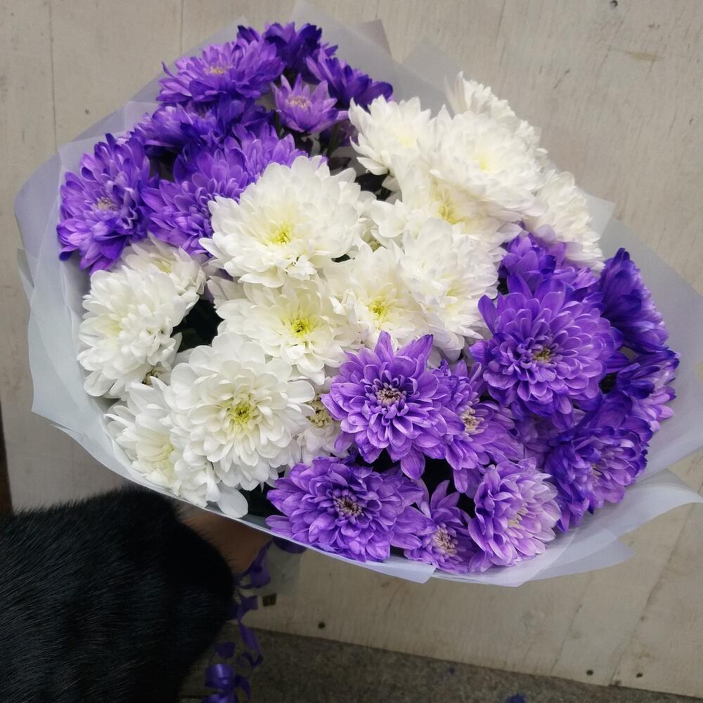 Букет из 7 хризантем кустовых