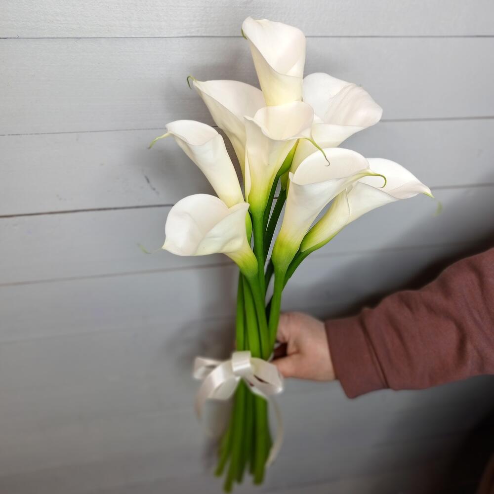Callas 9