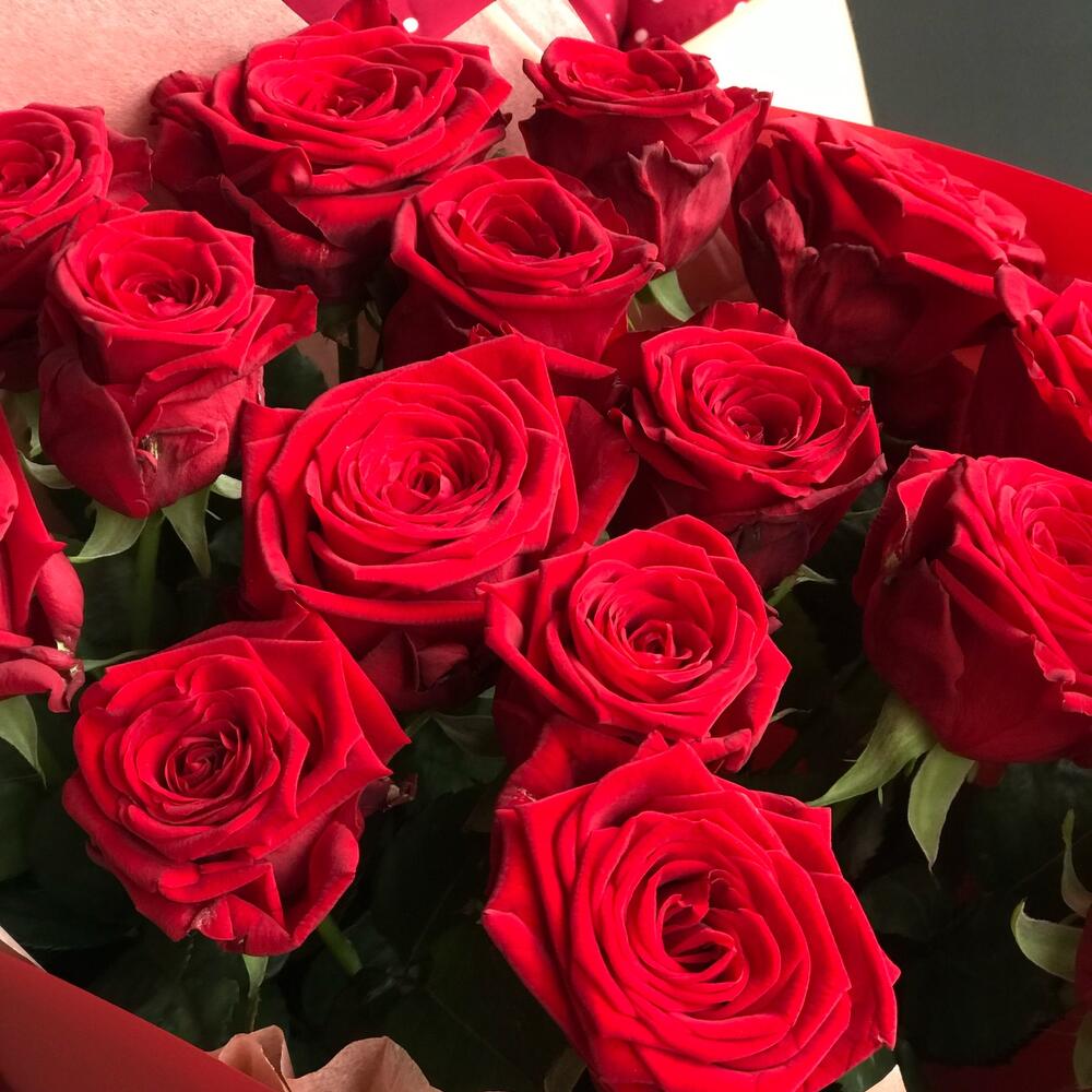 15 красных роз в матовой плёнке, Цветы и подарки Ступино, Ступинский ...