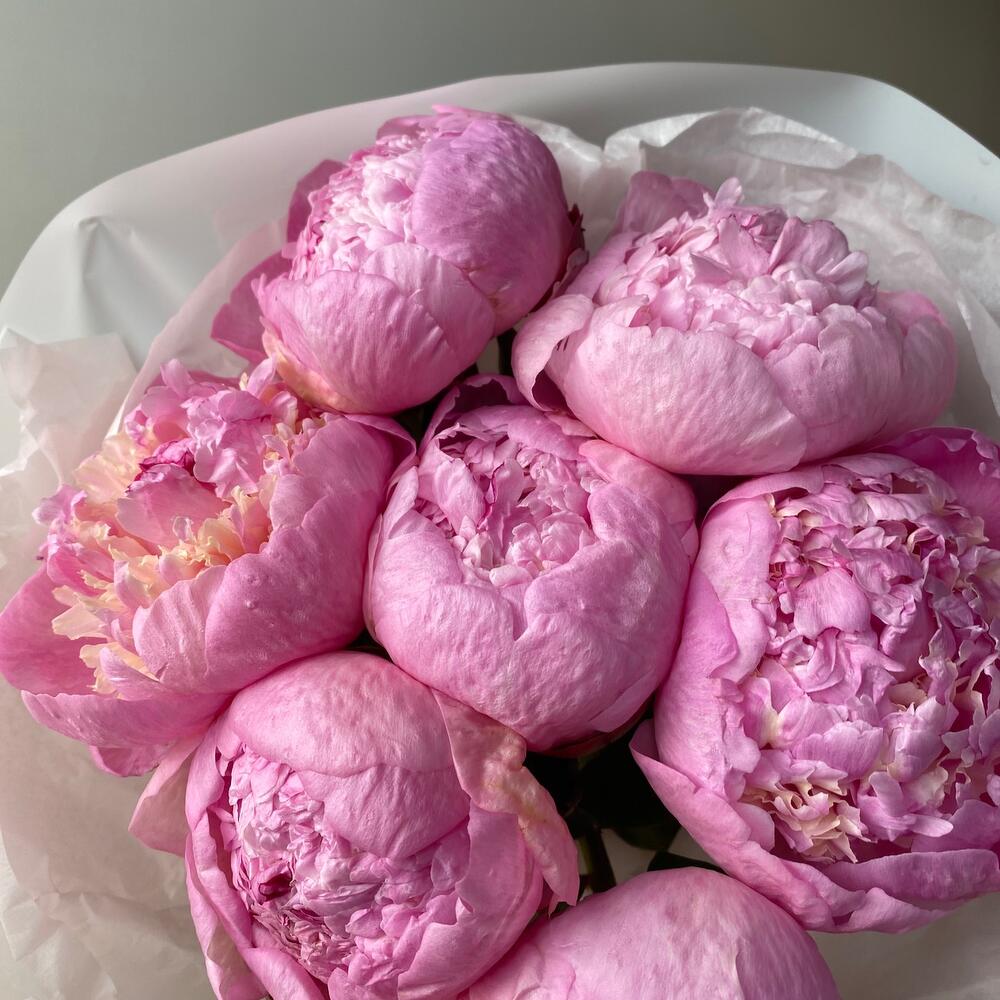 Моно из сезонных пионов