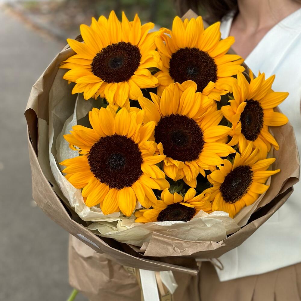 Подсолнух💛