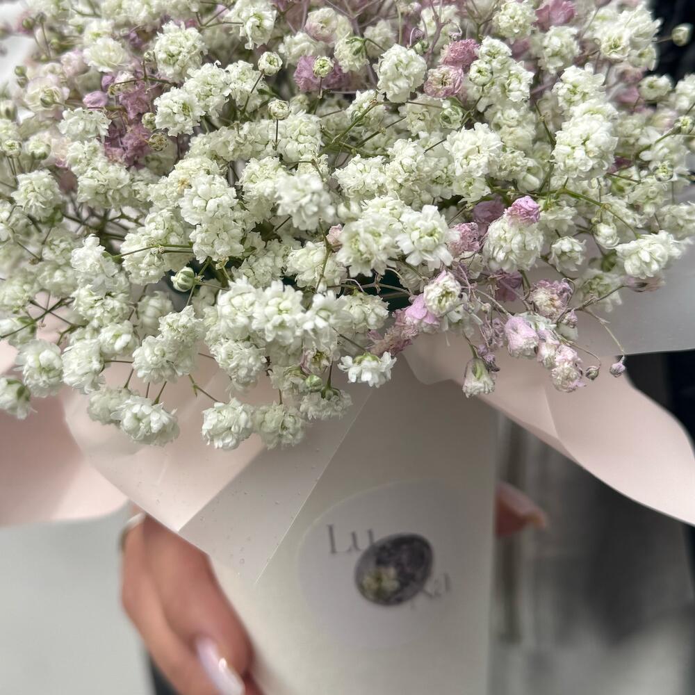 Gypsophila in a white coffee cup