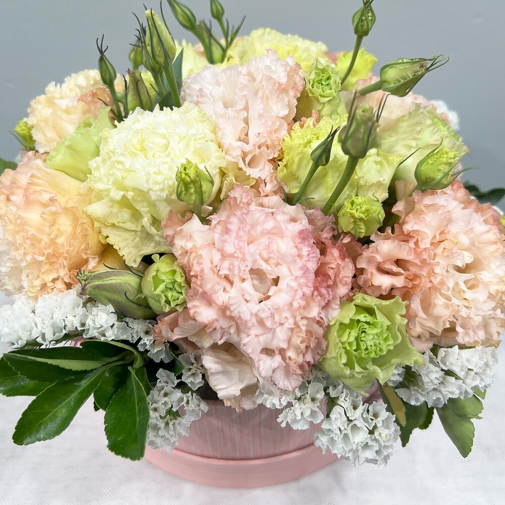 Composition with eustoma