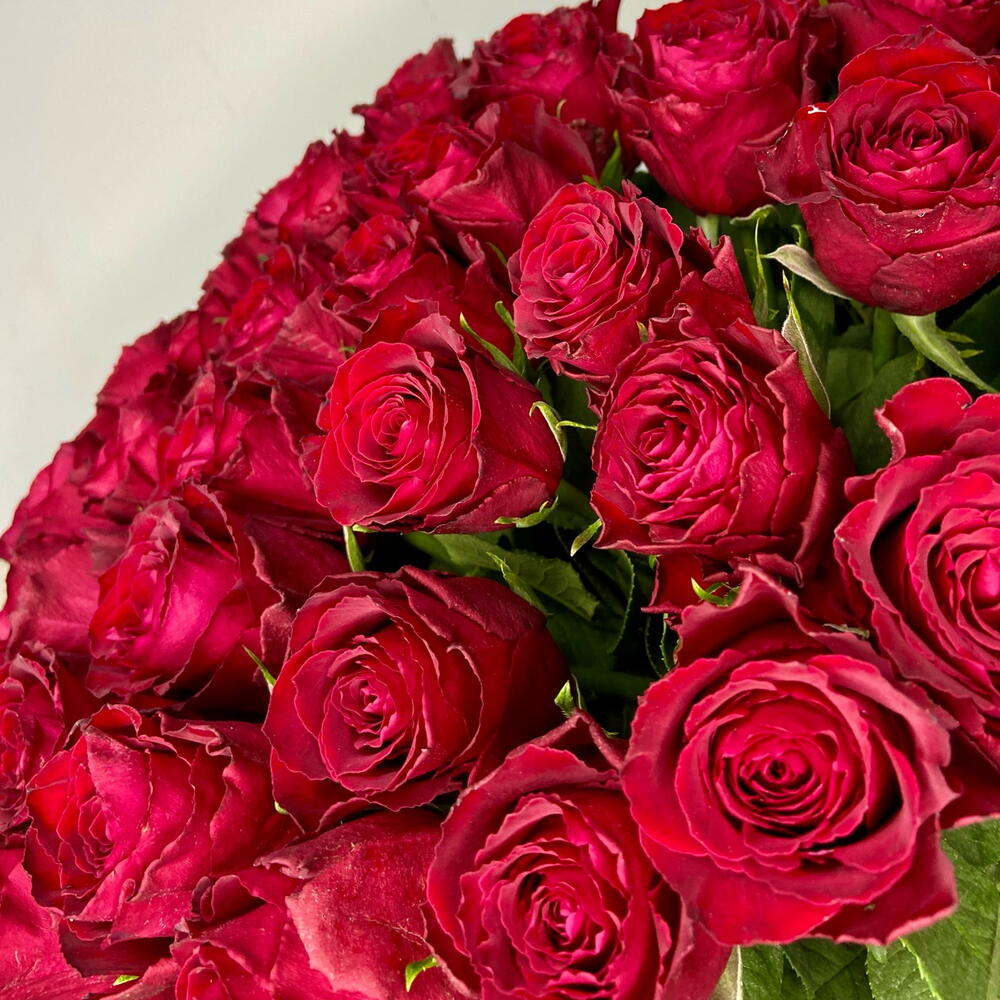 51 Роза 🌹