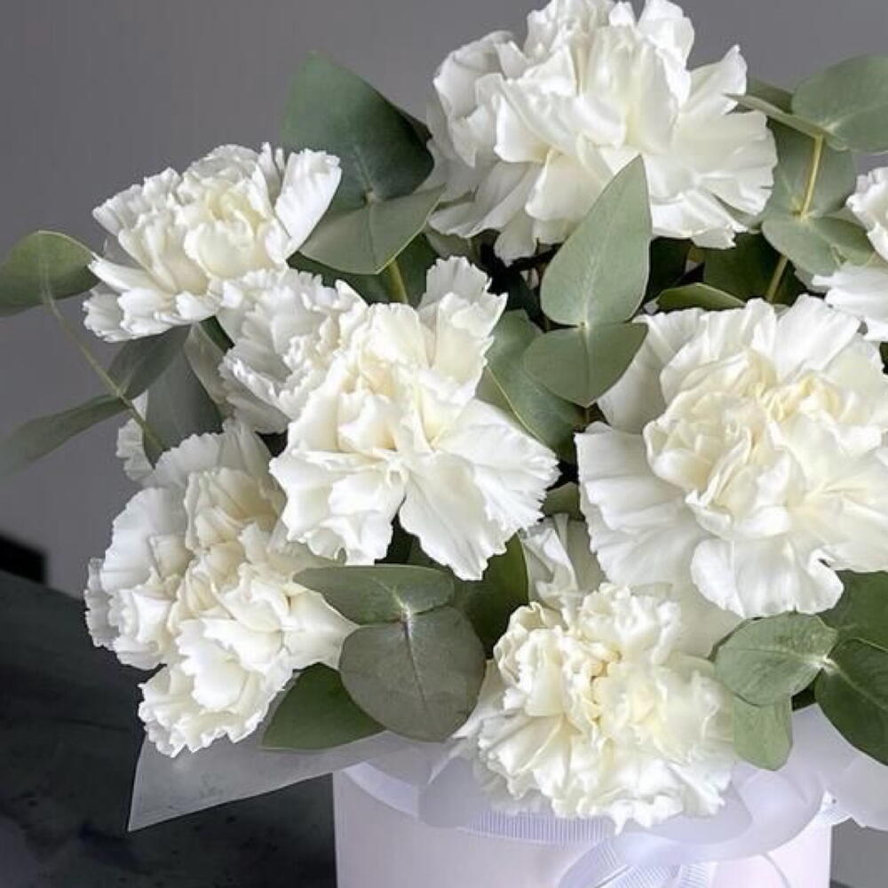 Flowers in a box - dianthus