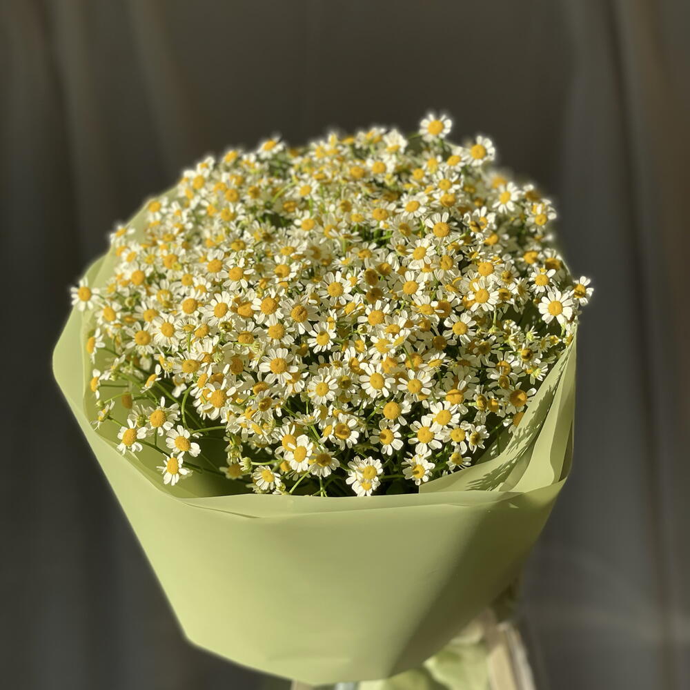 Моно букет с ромашкой