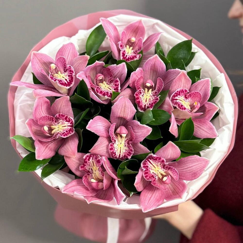 Букет из 9 розовых орхидей с рускусом (арт.3490)