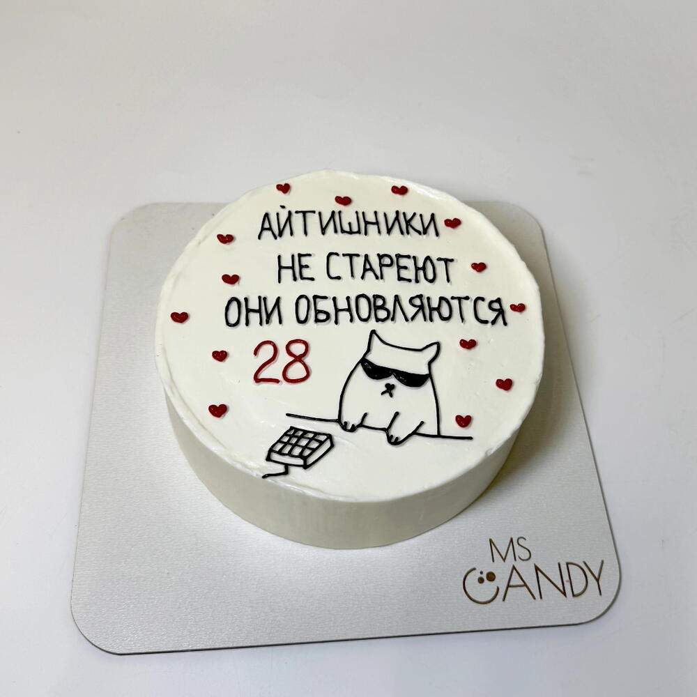 Торт "Айтишнику", вес 720г, на день рождения, парню, любимому, мужчине, девушке, подруге, другу, коллеге