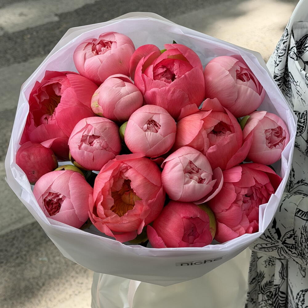 Peony mix Coral with pink