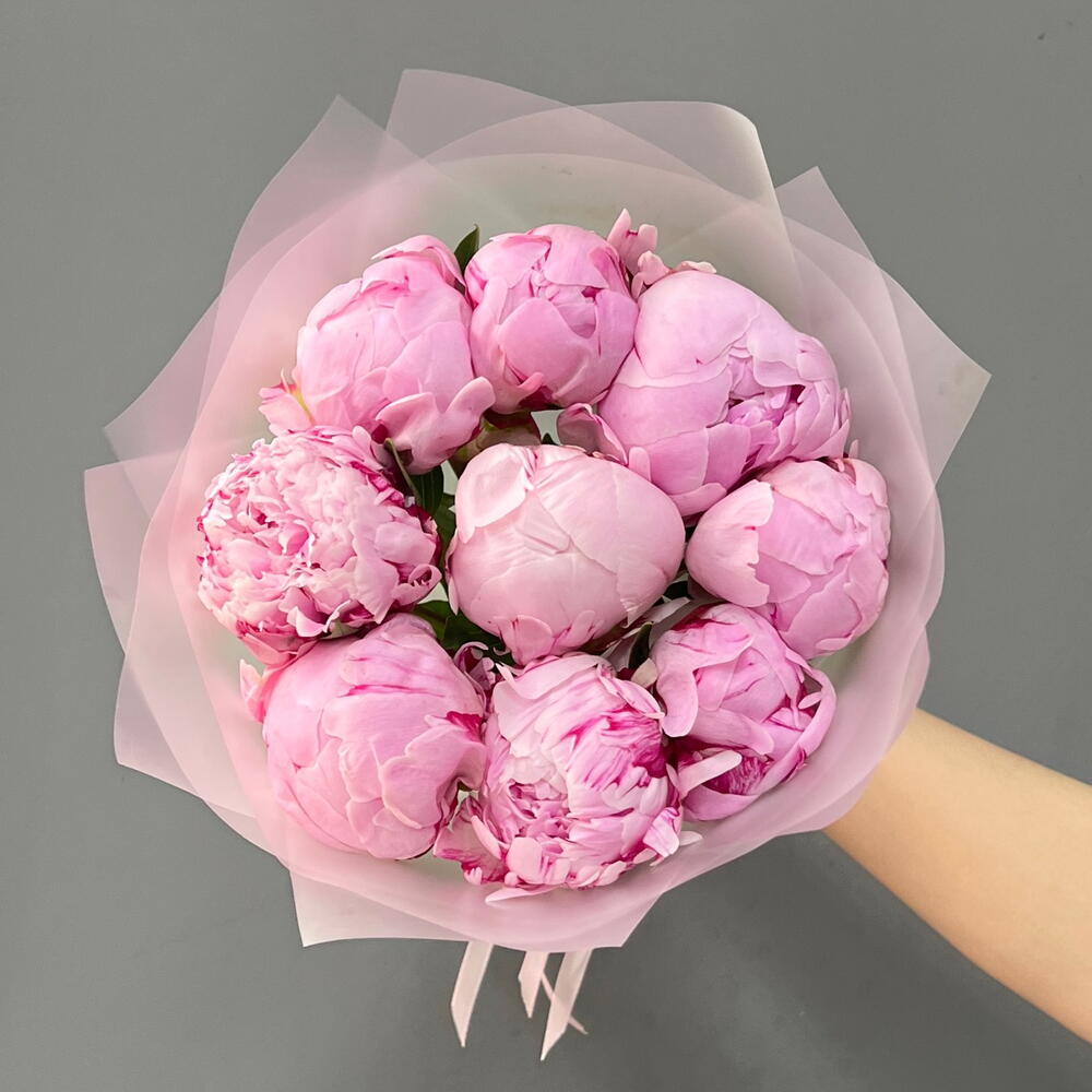 9 Пионы Сара Бернар в матовой упаковке (0006) peony