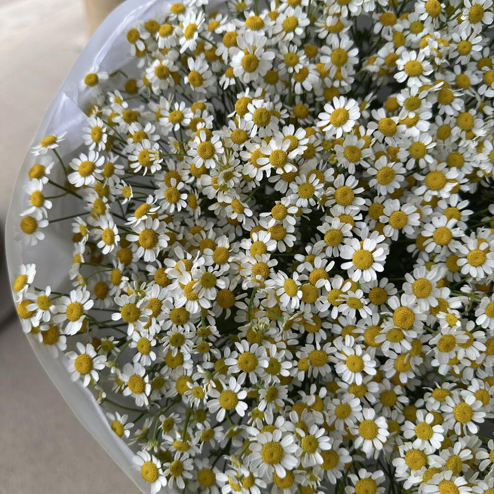 Букет лета из Pinterest 🌸