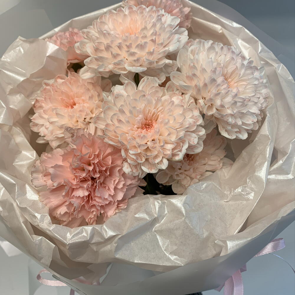 Soft Coral