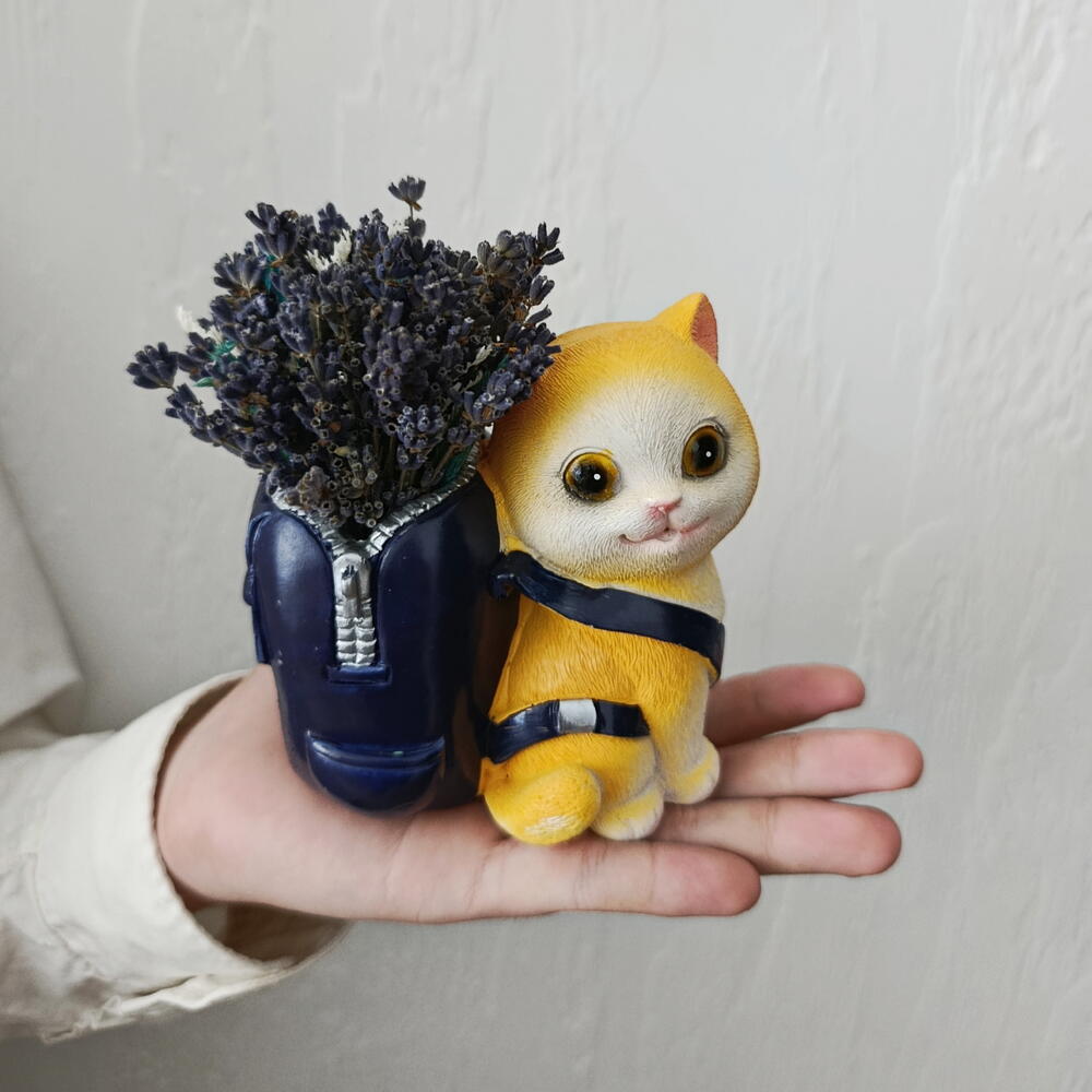 Котик бархатный животик