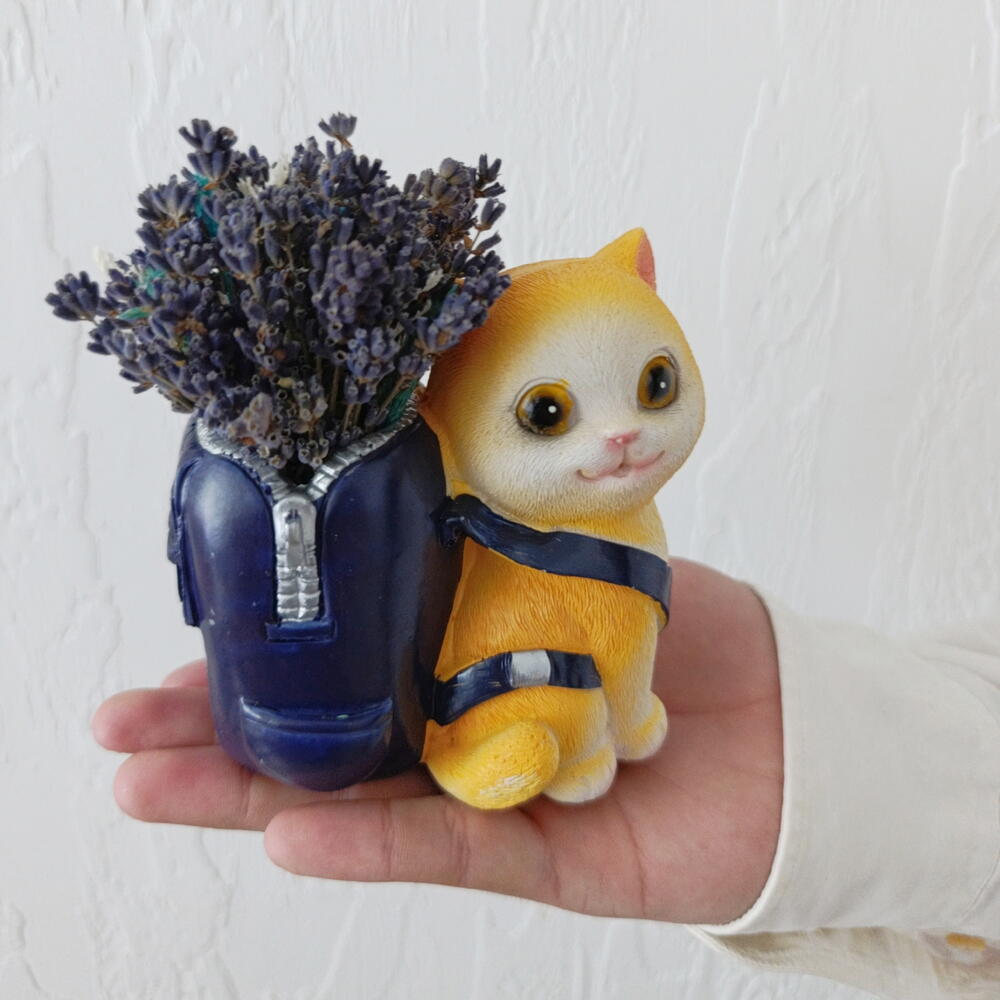 Котик бархатный животик