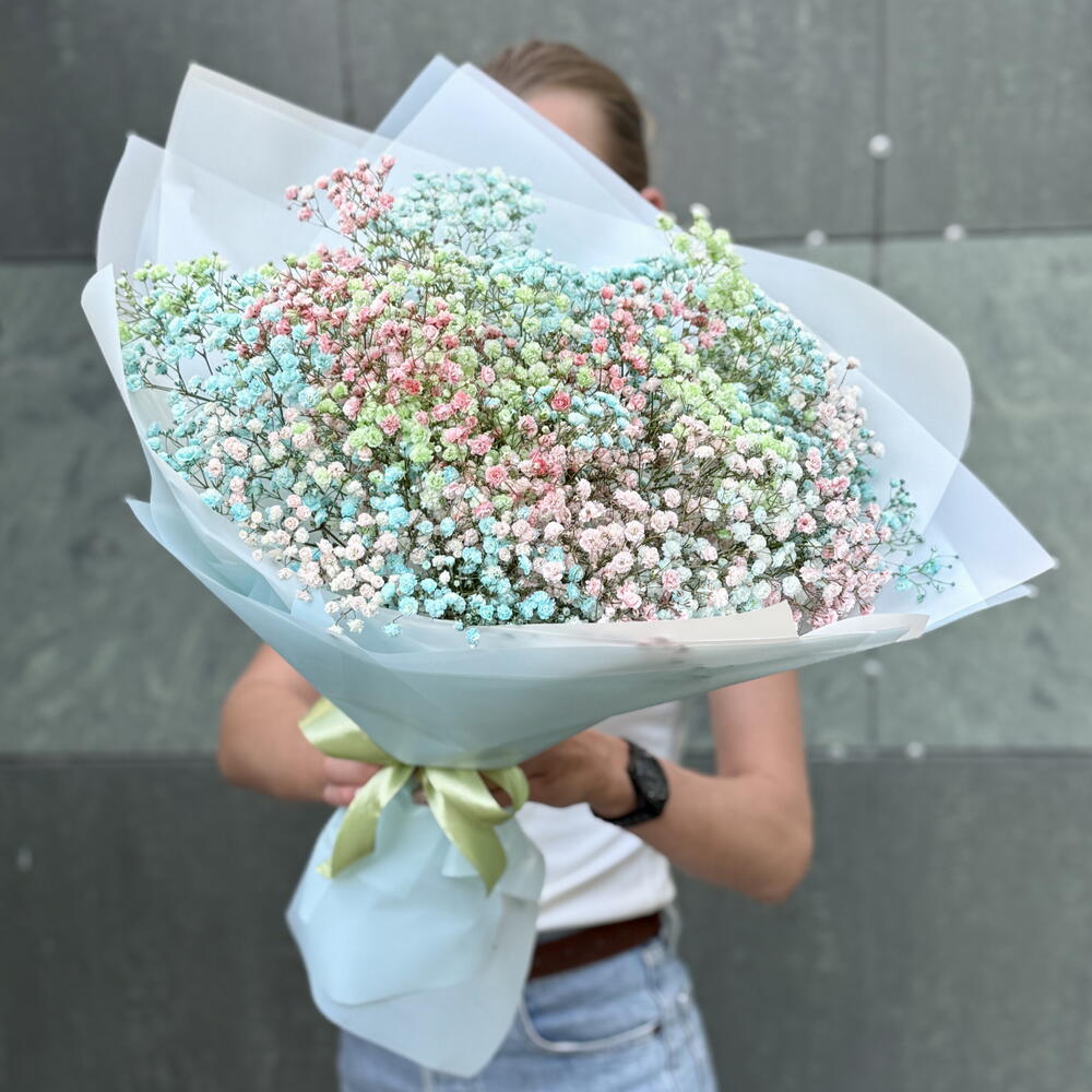 Разноцветная гипсофила