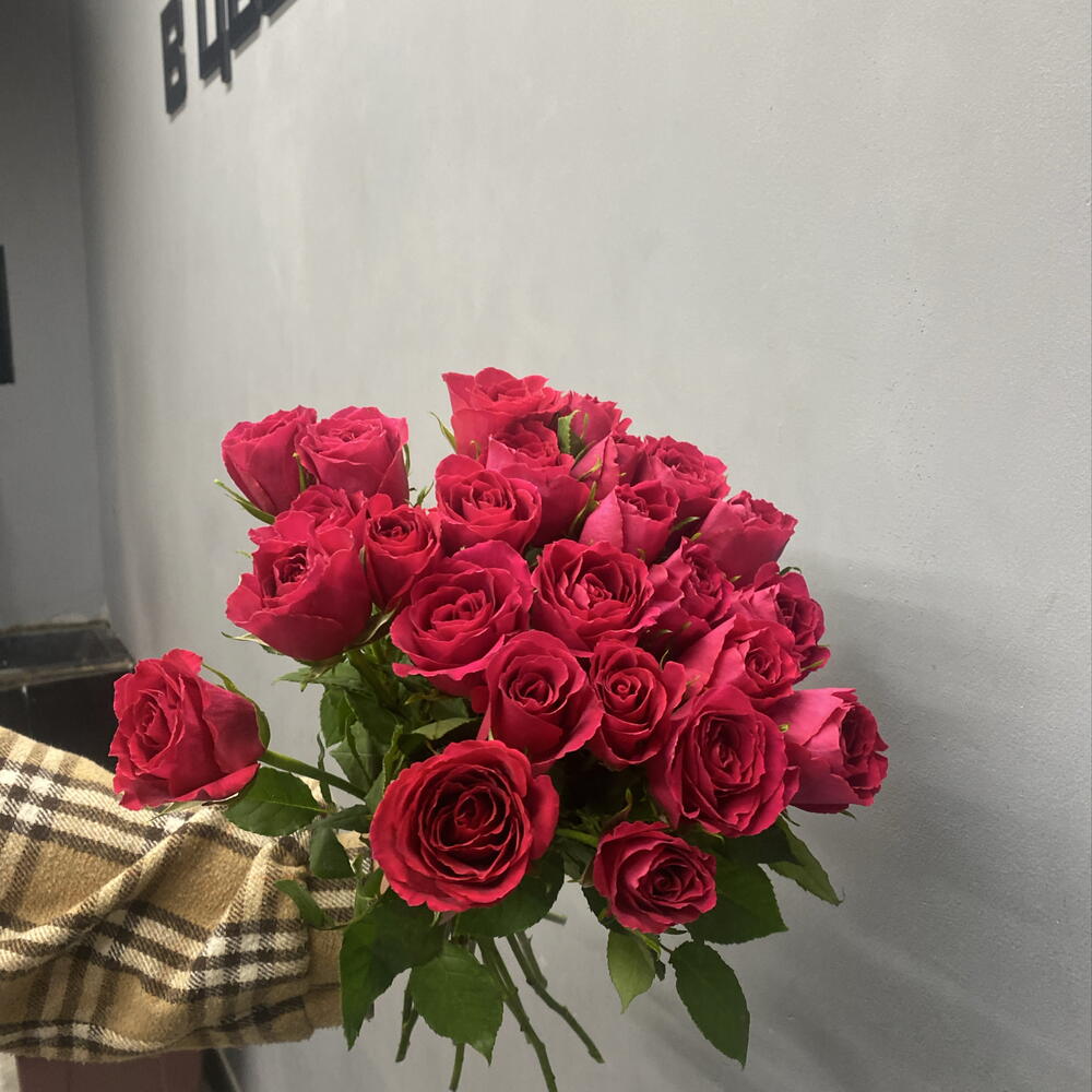 25 ярко малиновых роз