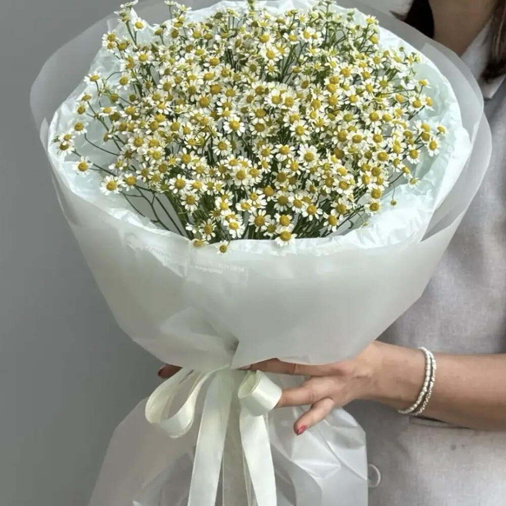 Букет Ромашка S