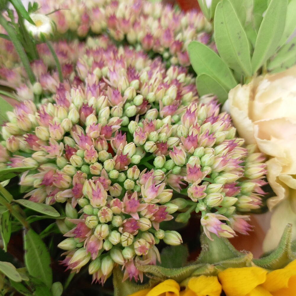 Сумочка с подсолнухом 🌻