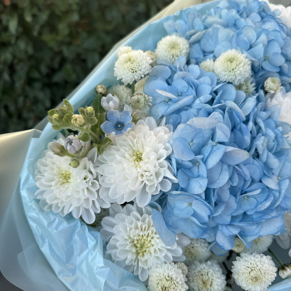 Пышный дофаминовый букет 🤍🌸 гортензия, оксипеталум