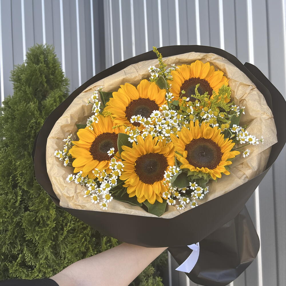 Подсолнухи 🌻