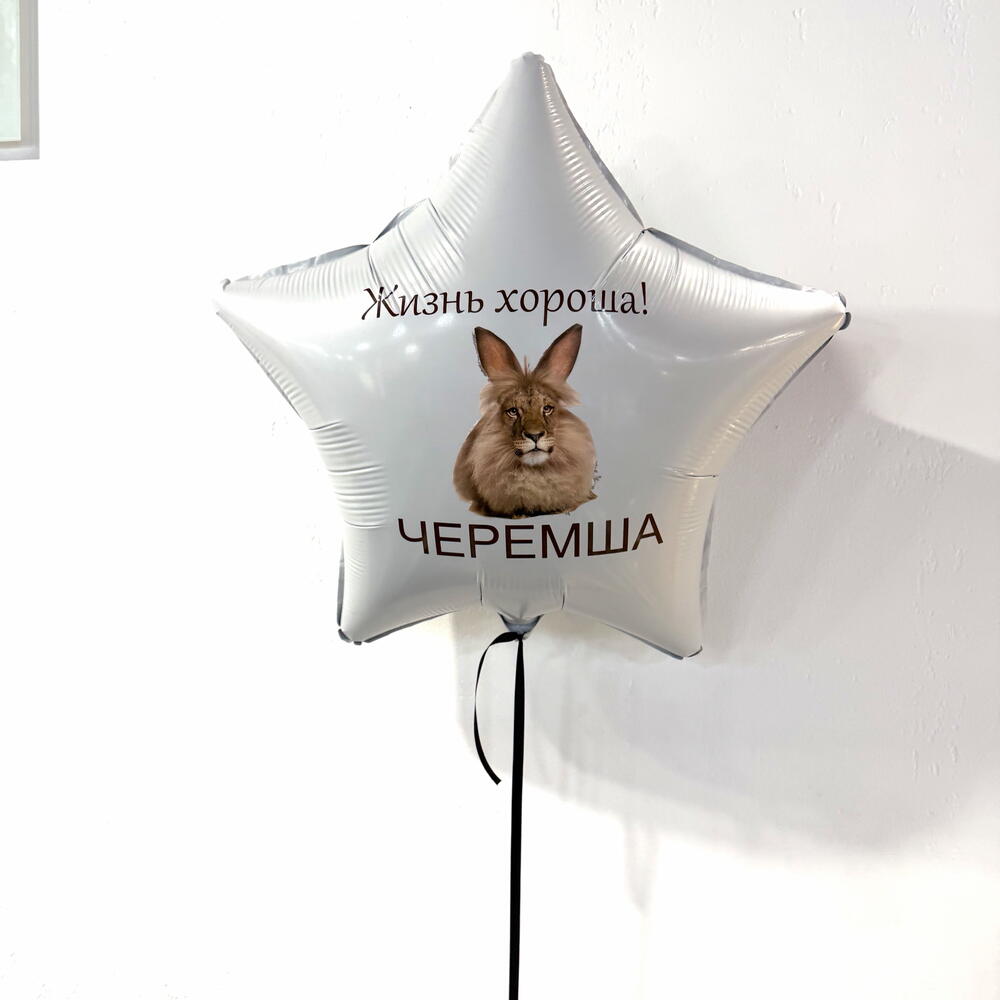 Шар Черемша