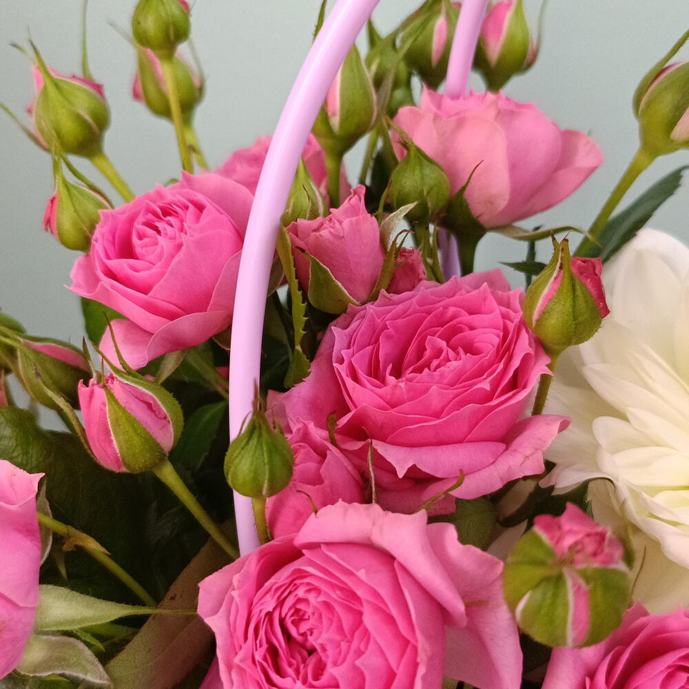 Розы в сумочке🌸🌸🌸💥💥💥
