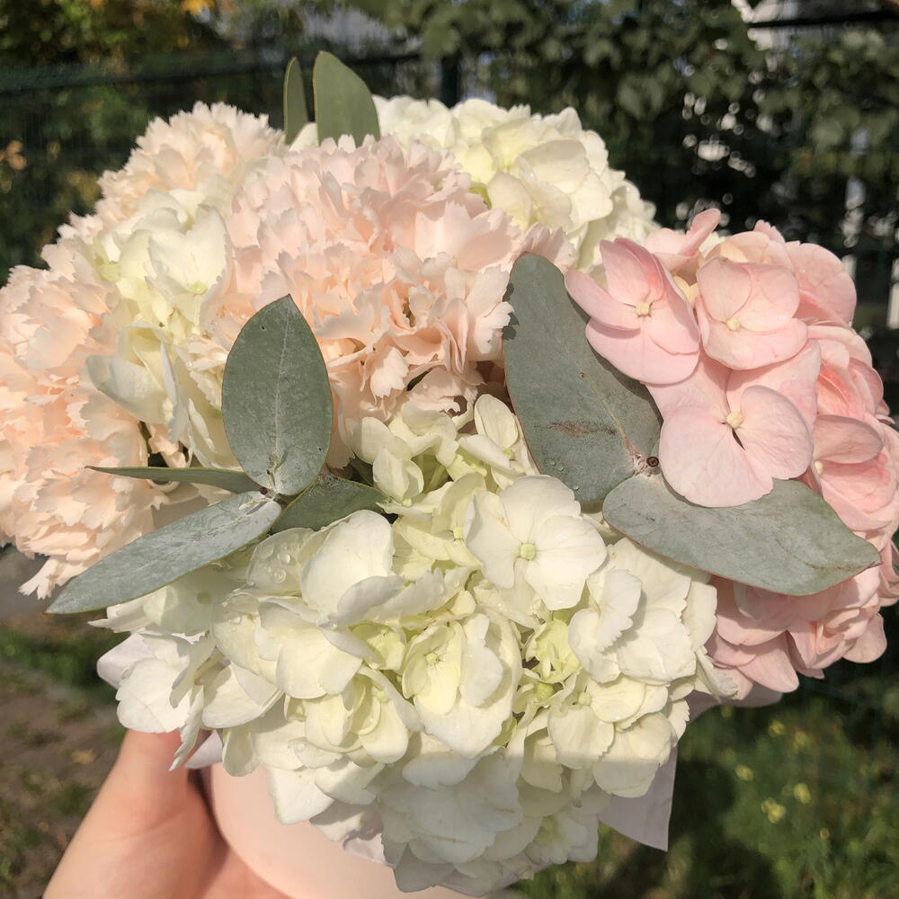 🌸Облачко в коробочке Bloom room