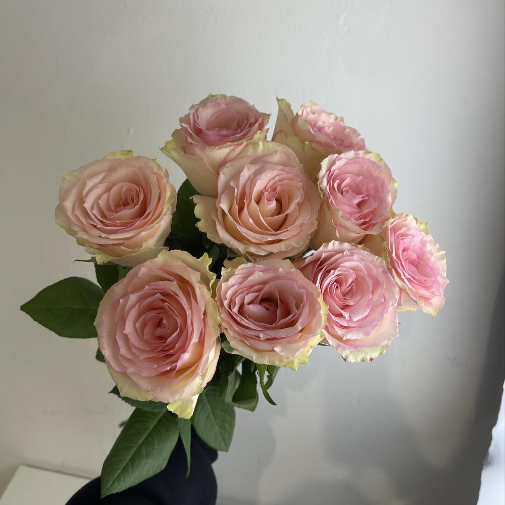 Розы нежные 🌸9