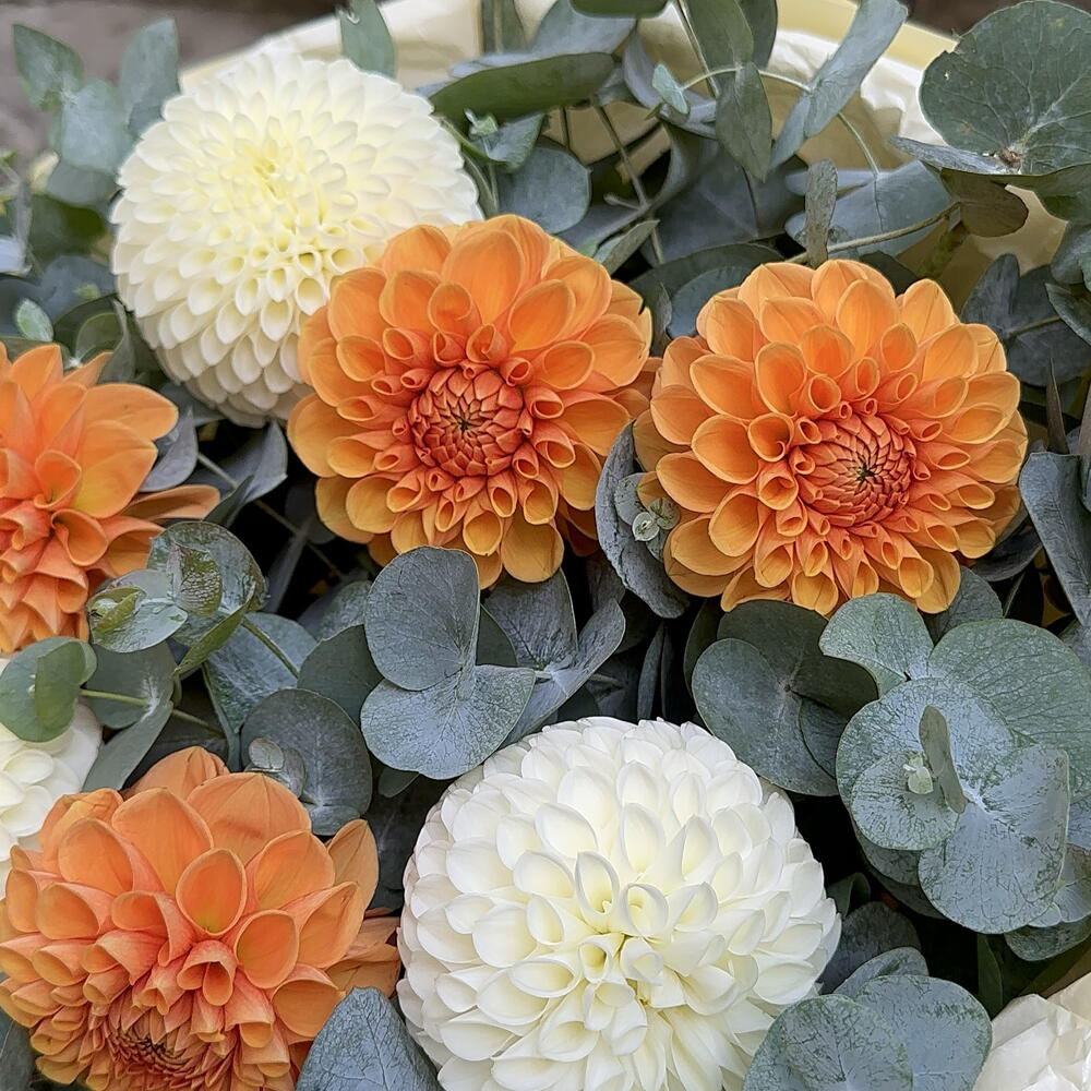 Bouquet 252