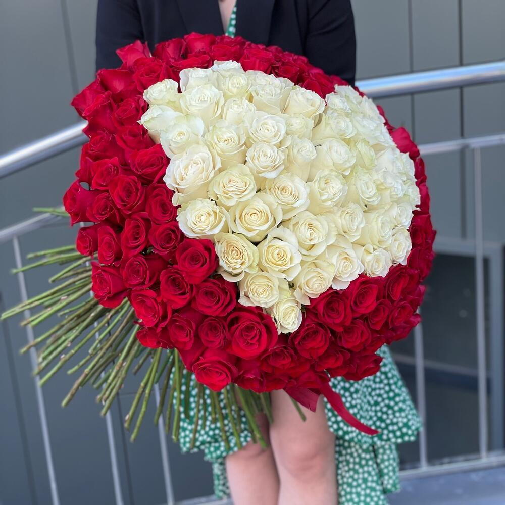 Bouquet of 151 white and red roses
