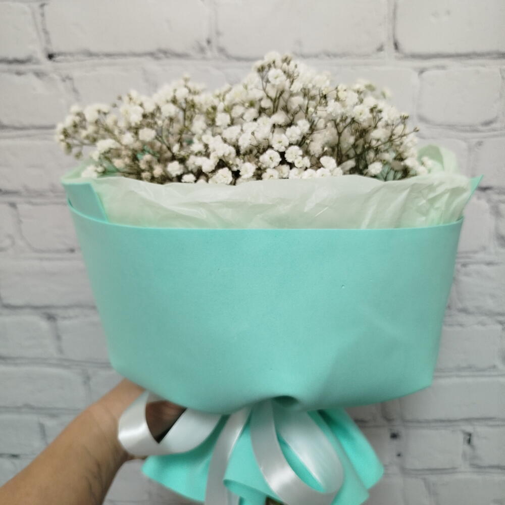 Облако из гипсофиллы