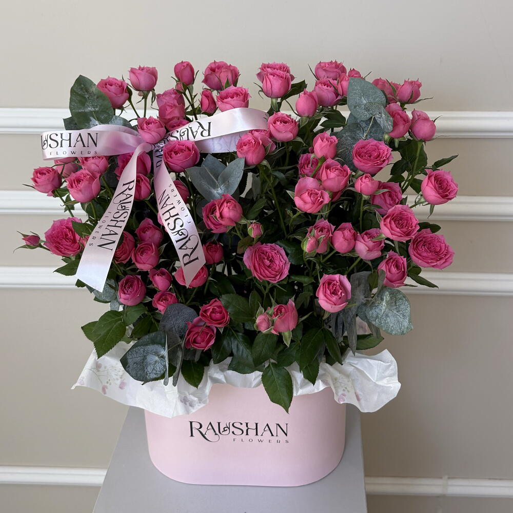 Spray roses in a trendy box S