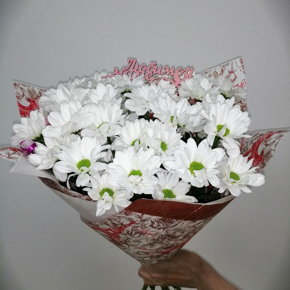 Ромашки
