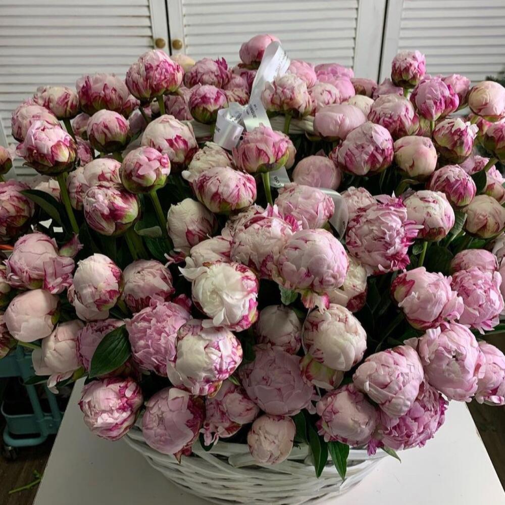 Корзина с пионами