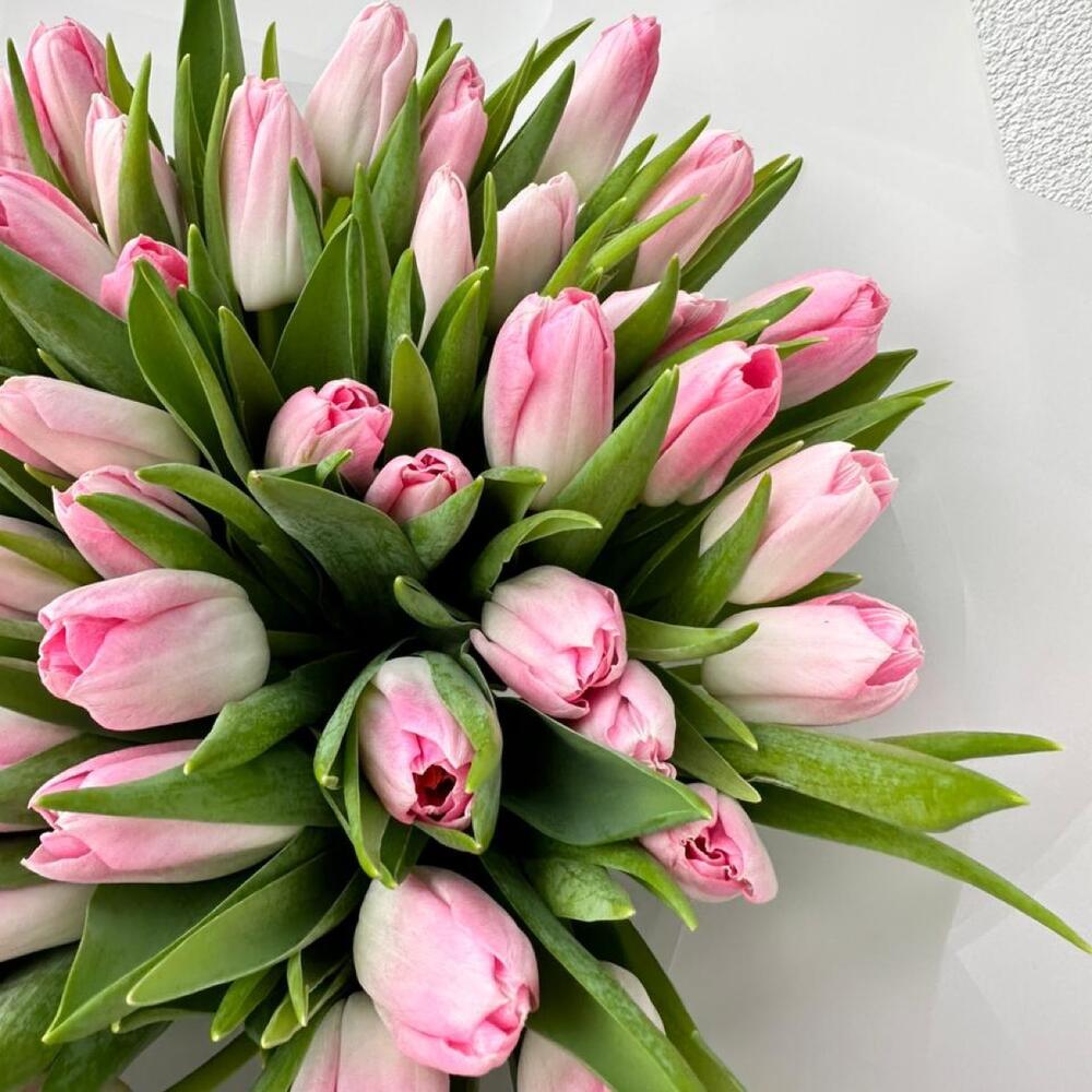 Ramo de tulipanes rosa suave