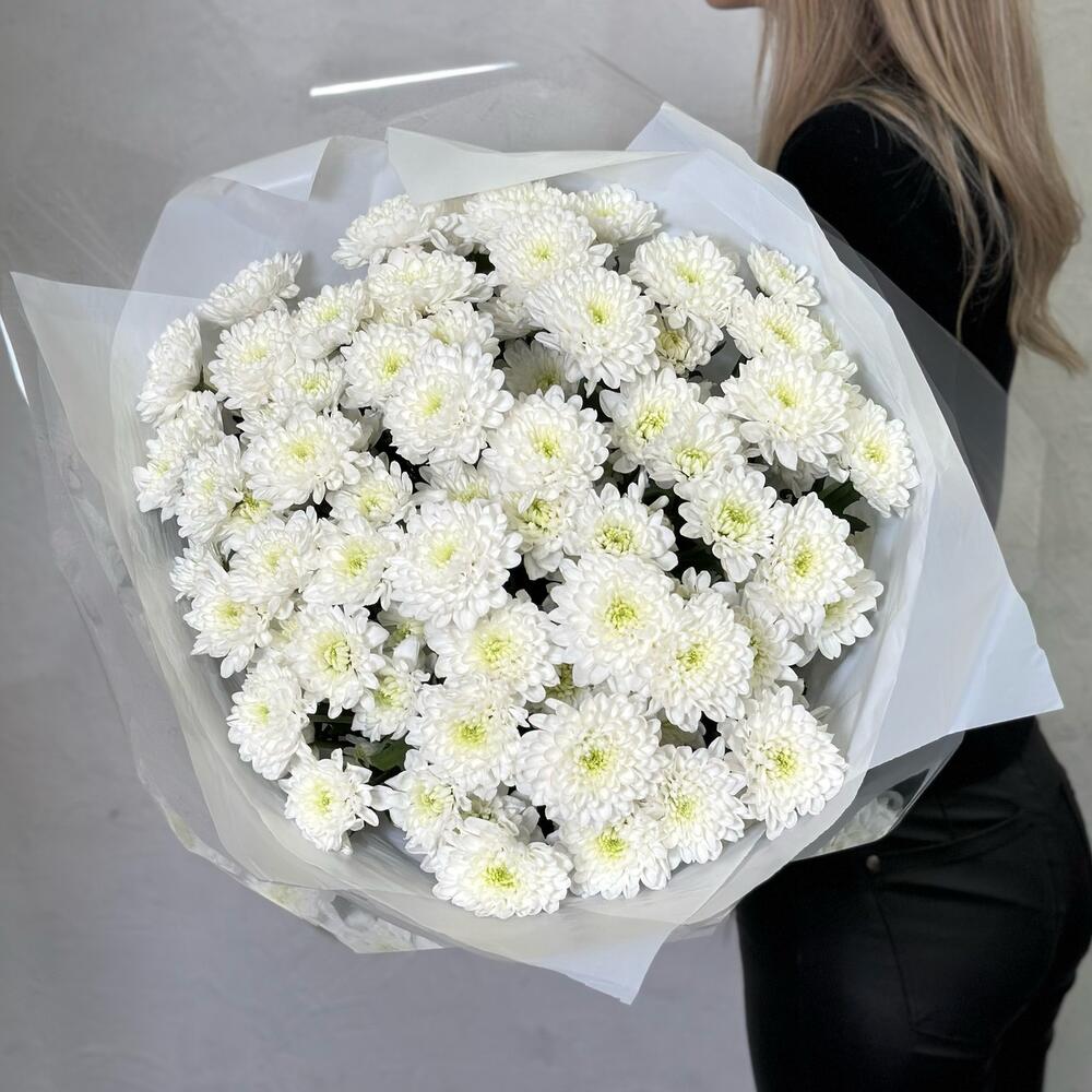 Букет белых кустовых хризантем сорта Алтай, 15шт. (М006)