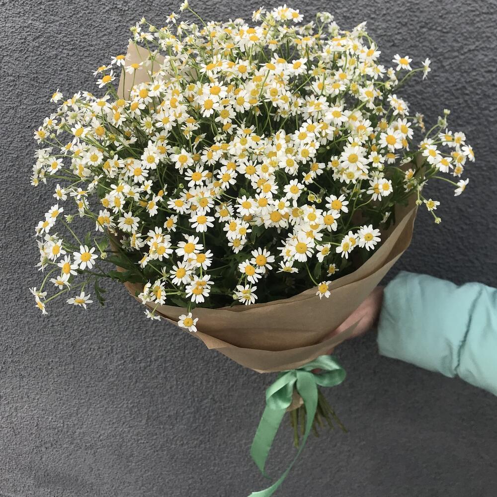 Летний букет ромашек
