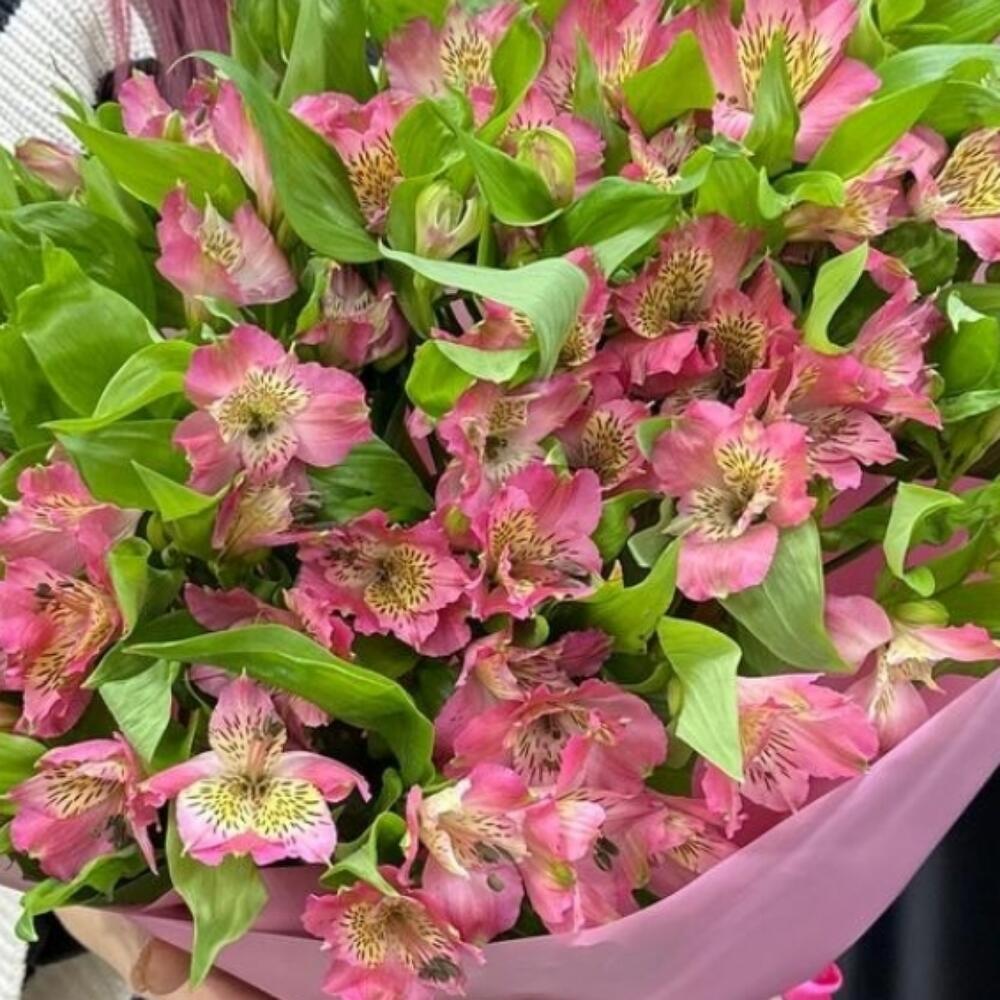 Волшебница 💖 большое стойкое моно из альстромерий
