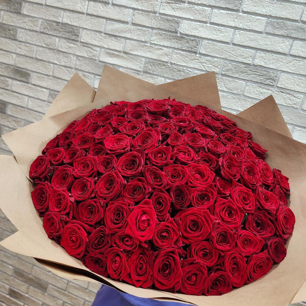 101 роз 🌹🌹🌹🌹